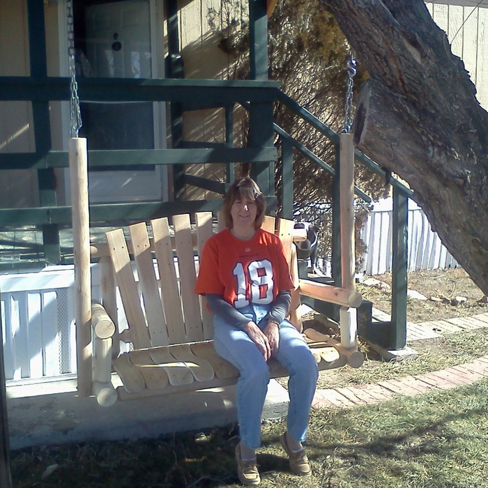 put together bench swing