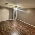 Vinyl flooring & paint