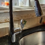 Moen Arbor faucet