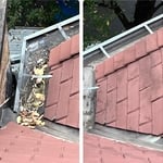 Gutter Cleaning Project
