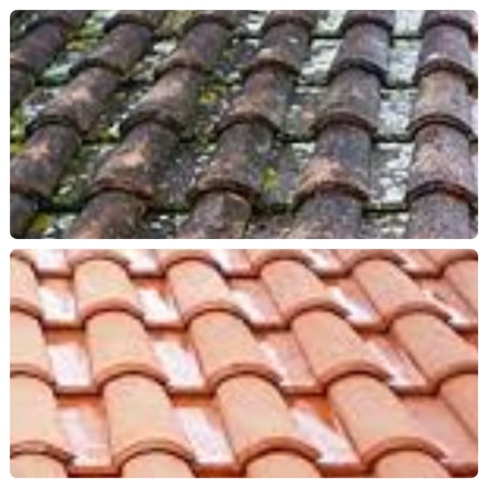 Roof Cleaning Project