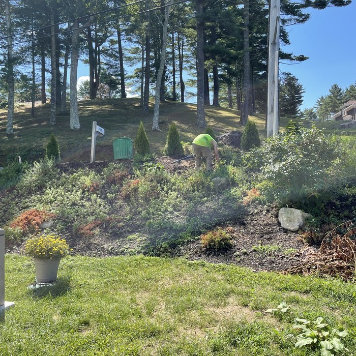 Additional Photos