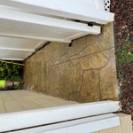 Concrete Pouring and Repair Project