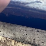 Squirrel sealing