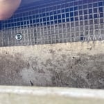 Squirrel sealing