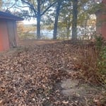 Yard clean up