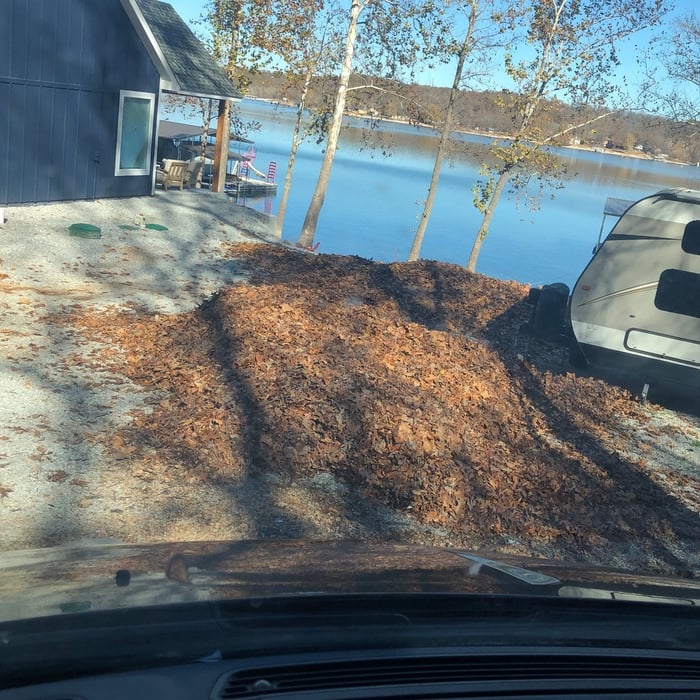 Leaf removal