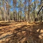 Landscaping Project