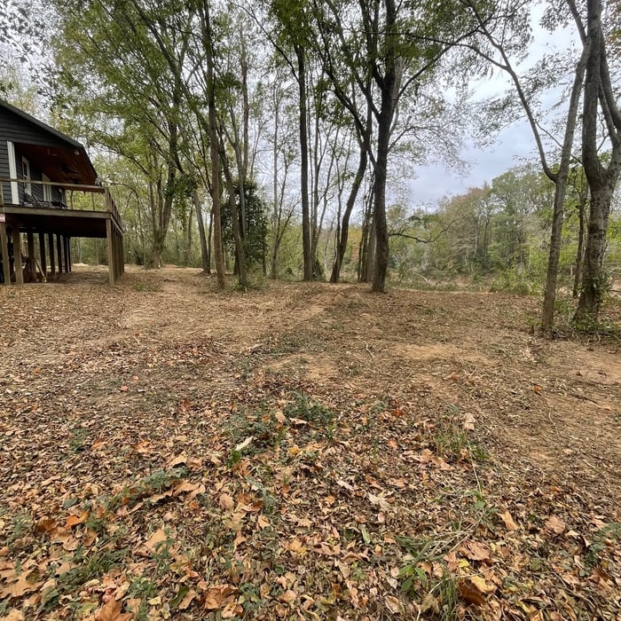 Forestry Mulching