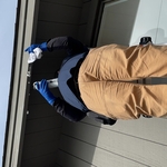 Pest Control/Exterminating Project