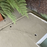 Pest Control/Exterminating Project
