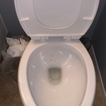Bathroom cleaning