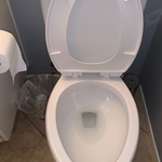 Cleaning bathroom