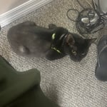 Additional Photos