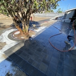 Landscaping Project