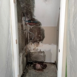 Closet Mold Removal