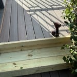 Deck Maintenance Project