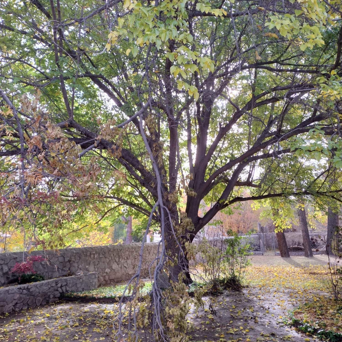Additional Photos