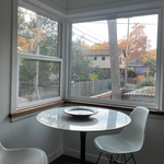 New double panel windows