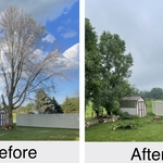 Tree Service Project