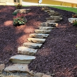 Landscaping Project