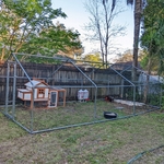 Chicken coop