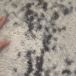 Housecleaning Project