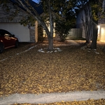 Before: right side of yard