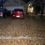 Before: left side of yard and drive way