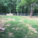 Backyard transformation