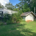 Yard cleanup