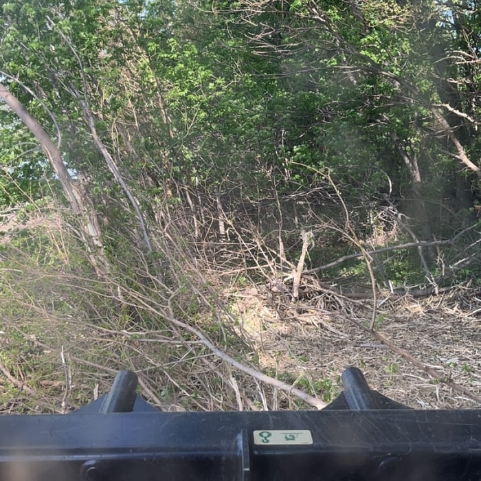 Fence line clean up
