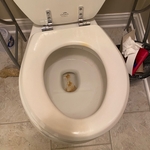 Bathroom cleaning
