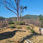 Salt Fire Cleanup