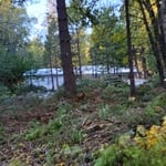 Lassen Fire Safe Council brushing project