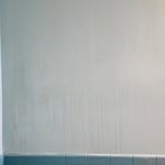 Housecleaning Project