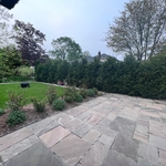 Spring clean-up