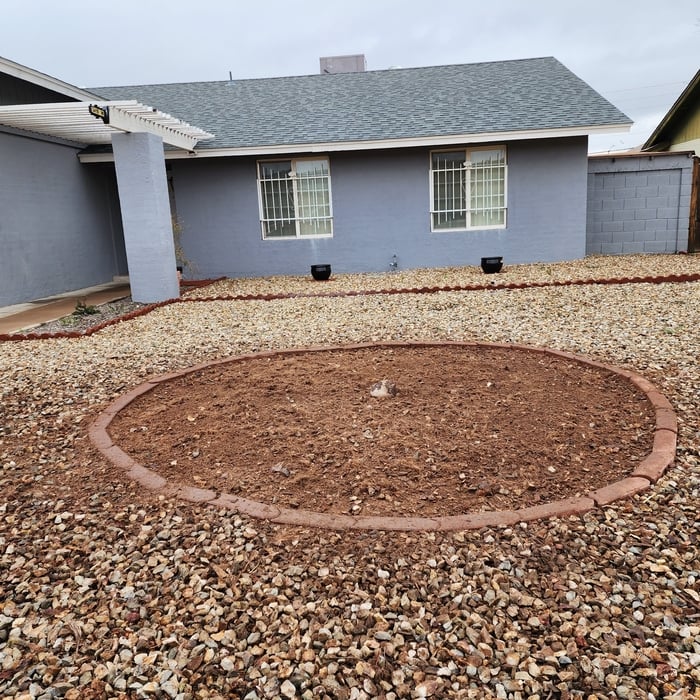 Remove infested palm tree