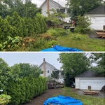 Yard Cleanup