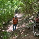 Before down the path