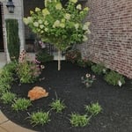 Landscaping Project