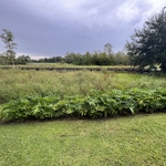 Landscaping Project