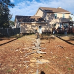 Tree Service Project