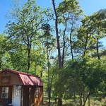 Tree Service Project