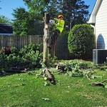 Tree Service Project