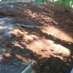 Roofing Project
