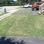 Landscaping Project