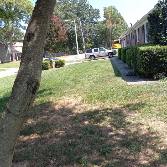 Landscaping Project