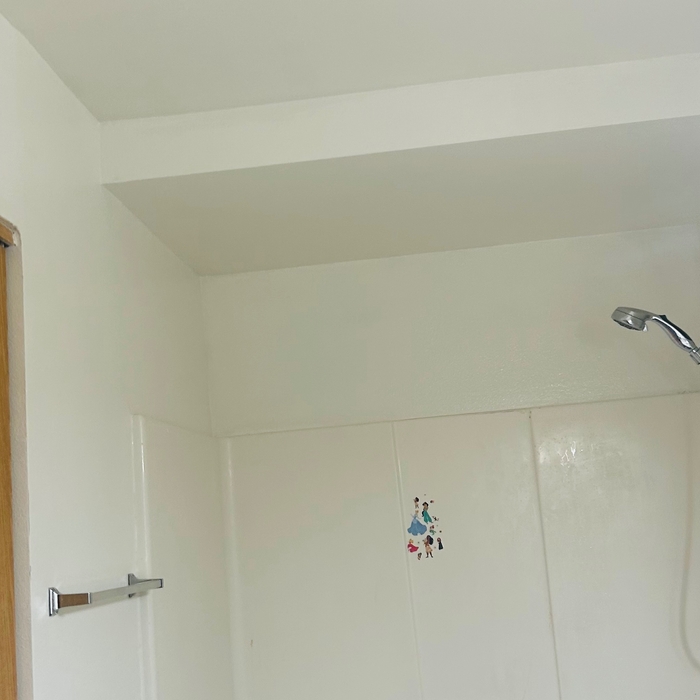 Bathroom restoration