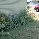 Weeding job